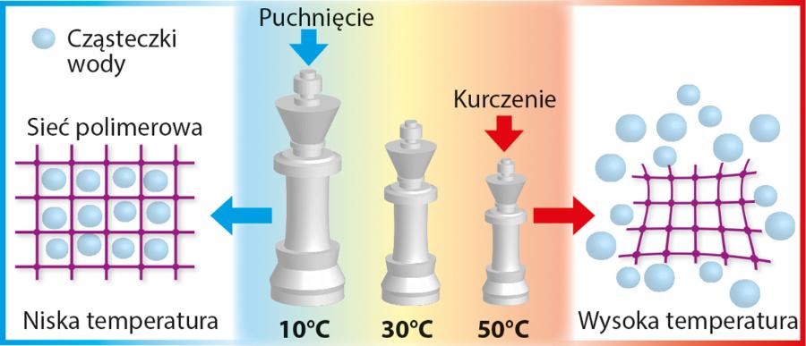 Schemat działania pionka szachowego-wydrukowanego na Rutgers University.