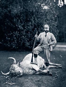 Monarszy symbol nowej epoki, książę Walii, przyszły król Edward VII, miłośnik jedzenia, kobiet i wszelkich uciech, tu z ustrzelonym przez siebie dzikim bykiem, ok. 1879 r.