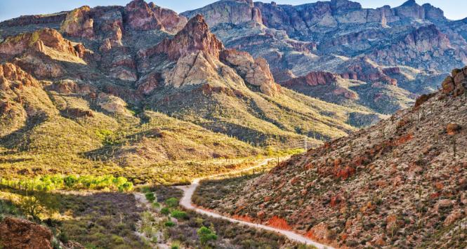Dwie trzecie lasów Tonto National Forest w Arizonie – obszaru o powierzchni 800 tys. ha – miałoby trafić do sprzedaży, gdyby w życie weszła odrzucona poprawka do ustawy „One Big Beautiful Bill” zaproponowana przez prezydenta Trumpa.