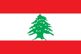 W czasach biblijnych Liban słynął z cedrów i dlatego właśnie drzewo cedrowe umieszczono na fladze. Czerwień symbolizuje poświęcenie w walce o niepodległość, biel jest symbolem czystości i pokoju.