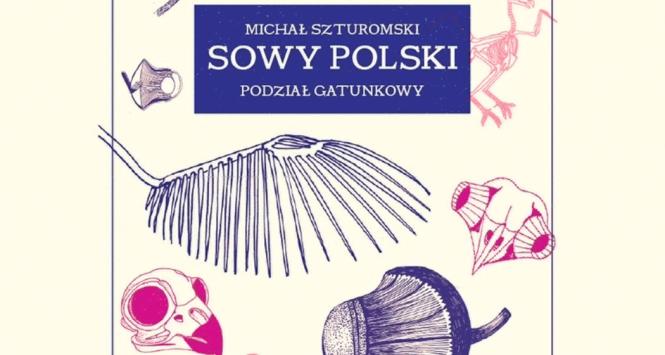 Płyta Sowy Polski