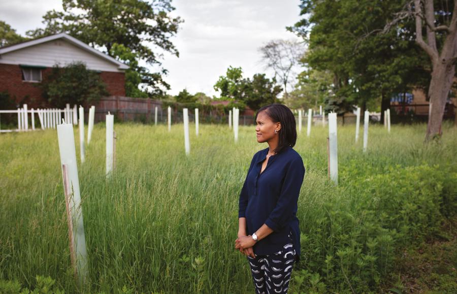 Tam, gdzie stał dom Monique Coleman, rosną dziś sadzonki drzew. Podobny los czeka dom z lewej strony.