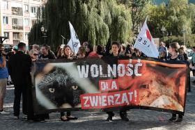 Część organizacji prozwierzęcych opowiada się za dalszym zaostrzeniem kar dla oprawców.