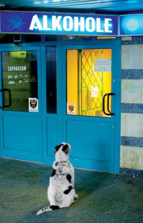 Bez ustawy walka z wysypem budek alkoholowych skazana jest na przegraną.