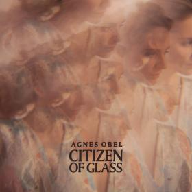 „Citizen of Glass”