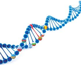 Genetyka to miecz obosieczny. Z jednej strony pokazuje olbrzymią różnorodność, z drugiej wskazuje, że jesteśmy jedną, wielką, różniącą się od siebie i skłóconą, ale wciąż rodziną.