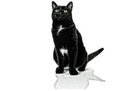 Dowodem na powszechność i siłę przesądów są choćby dane z rynków wskazujące, że rzeczywiście trzynastego, szczególnie gdy wypada on w piątek, inwestorzy dokonują mniejszej liczby transakcji.