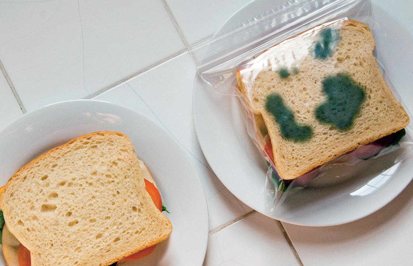 Tak zapakowane kanapki raczej nie będą przyciągać nieproszonych głodomorów.