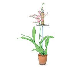 Przynajmniej 20 proc. populacji – ma skłonność do wysokiej wrażliwości, a wraz z nią do emocjonalnej chwiejności.