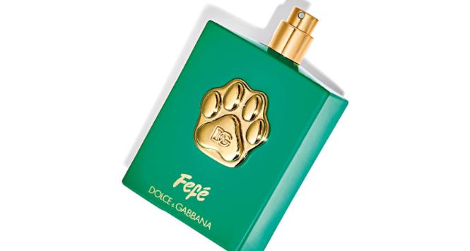 Pierwsze psie perfumy haute couture, dostępne z metką Dolce & Gabbana za jedyne 99 euro