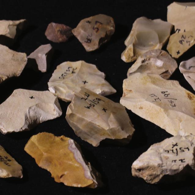 Narzędzia kamienne z kamieniołomu Evron w Izraelu liczą co najmniej 800 tys. lat. Ich twórcą był Homo erectus – pierwszy człowiek, który przekroczył granice Afryki.