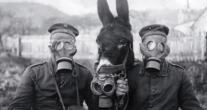 Już w maju 1915 r. prototyp maski gazowej przedstawił brytyjskim władzom lekarz i wynalazca Cluny Macpherson. Był to wyposażony w okulary i rurkę do oddychania kaptur wykonany z płótna nasączonego chemikaliami pochłaniającymi chlor.