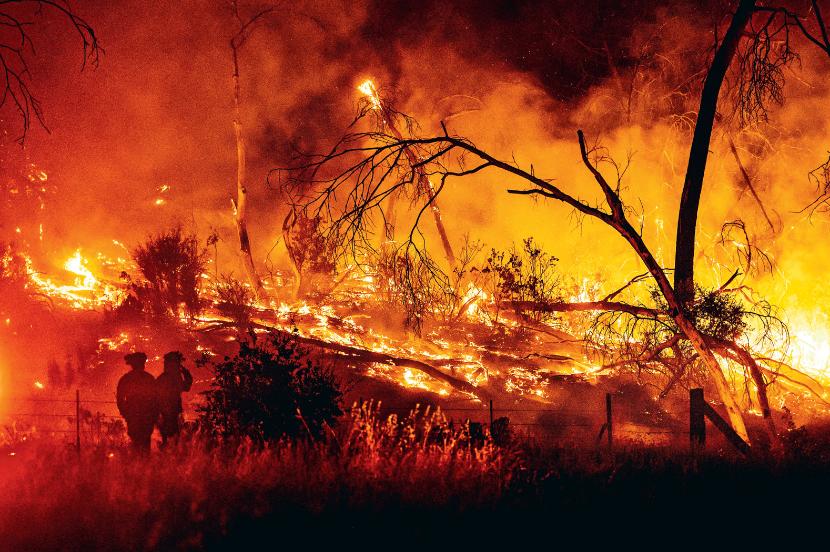 Roślinność amerykańskich lasów stanowi doskonałe paliwo dla płomieni.