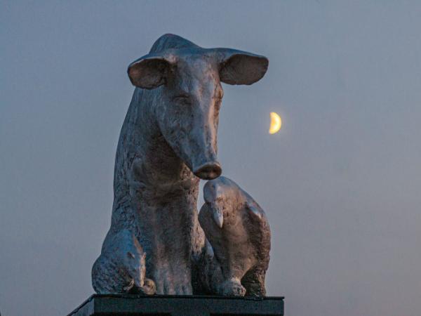 Ida Karkoszka „Let's watch humans die”, rzeźba, 2019 r.