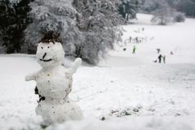 Według Podhala, jeśli chodzi o prewencję i środki zapobiegawcze, przydałaby się elementarna logika.