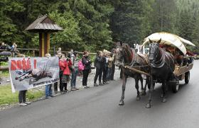 Palenica Białczańska. Protest organizacji prozwierzęcych przeciwko wykorzystywaniu zaprzęgów konnych w drodze do Morskiego Oka.