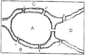 Euler dowiódł, ze nie da się przejść przez wyspy w Królewcu, by każdy z mostów przejść tylko raz. To odkrycie zapoczątkowało teorię grafów.