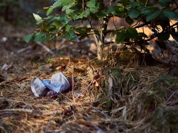 Jak żyć z nerwicą ekologiczną?