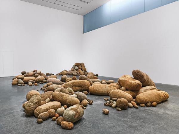 „Embriologia”, 1978–80 r.