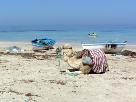 Czy i na jak długo egipskie plaże będą świeciły pustkami? I jak to się odbije na życiu Egipcjan?