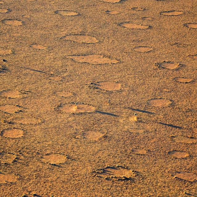 Kręgi na pustyni Namib.