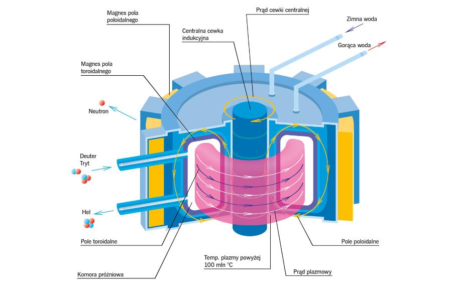 Schemat ­budowy reaktora fuzyjnego.