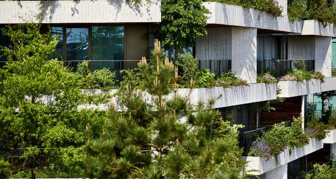 W Utrechcie ukończono najnowszy wertykalny las.