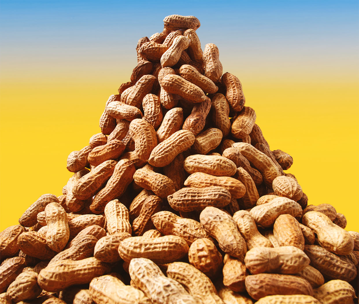 Odporność na fistaszki