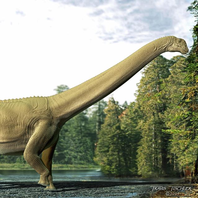 Wizja artystyczna jedzącego Diamantinasaurus matildae.