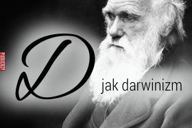 D jak darwinizm, Karola Darwina teoriaZapytany o najlepszy pomysł, jaki zrodziła ludzkość, Dennett odpowie zawsze: teoria doboru naturalnego. – Darwinowska koncepcja jednoczy świat – mówi Dennett. – Jednoczy świat przyczyny, materii, fizyki ze światem znaczenia, celu, świadomości. Cała złożoność życia bierze źródło w połączeniu ożywionego z nieożywionym, celowego z zaledwie mechanicznym. Nie chodzi tylko o to, że teoria ewolucji wyjaśnia pięknie, jak życie dotarło do punktu, w którym się znajduje. Chodzi o to, jak wykroczyło poza poziom czysto biologiczny i objęło sferę dorobku umysłowego (Dennett był jedną z pierwszych osób z naukowego establishmentu, która podchwyciła Richarda Dawkinsa teorię memów). To, co dzieje się w naszych mózgach, również nosi znamiona doboru naturalnego, twierdzi filozof (patrz: ja). Z tych i wielu innych, znacznie subtelniejszych powodów wołają na Dennetta: darwinowski fundamentalista.