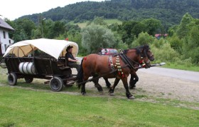Łosie, wóz dawnego maziarza (wędrownego handlarza), dziś wozi turystów na Maziarskim Szlaku.