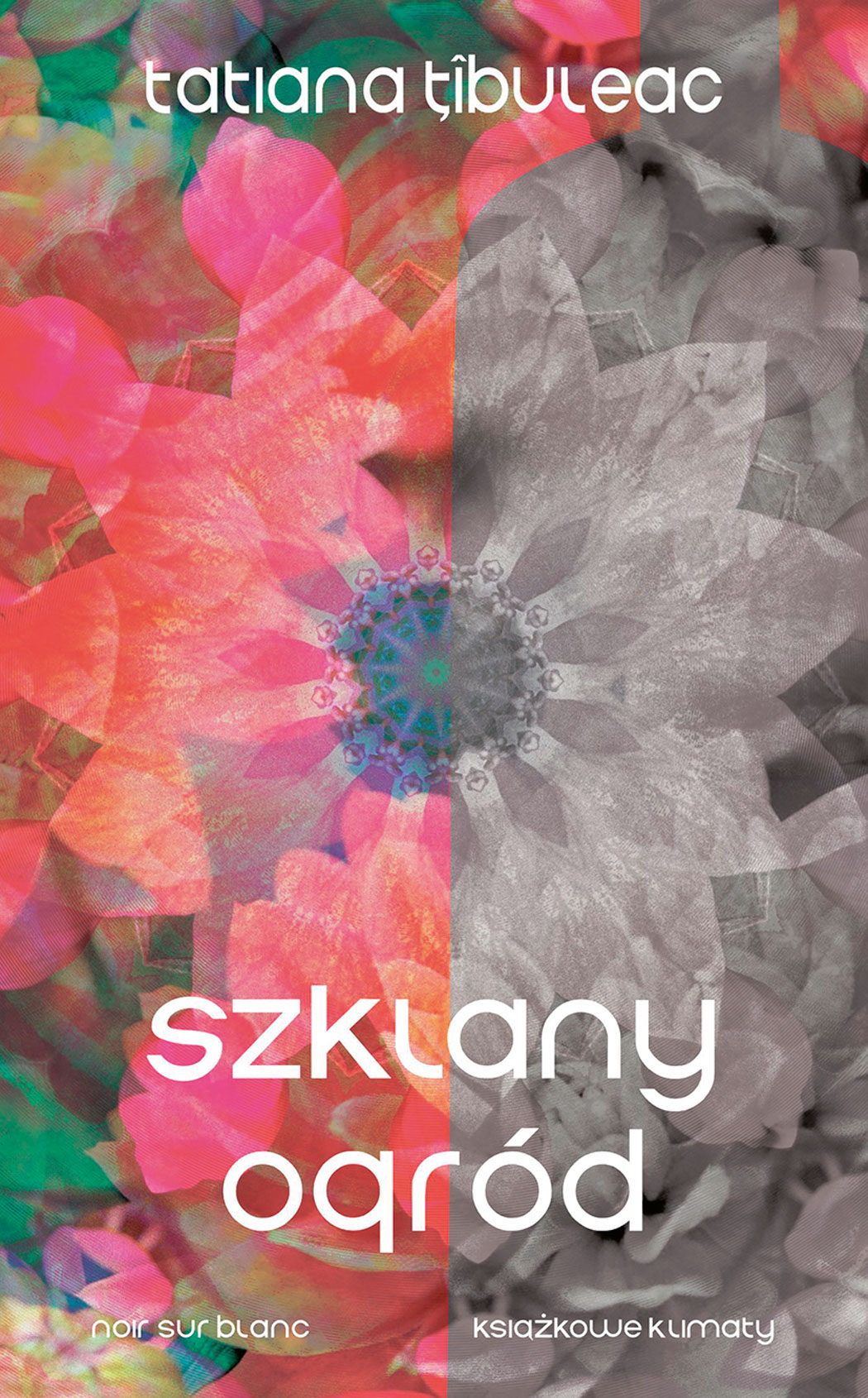 Recenzja książki Tatiana Țîbuleac, „Szklany ogród” Frazy jak obrazy