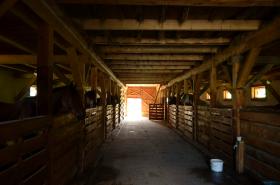 Kolejnego, ostatniego już zarejestrowania Karmela, dokonano w Bydgoszczy na firmę J.W. – Sprzedaż Hurtowa Żywych Zwierząt.