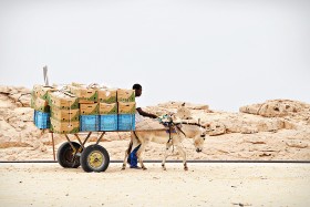 Im bliżej odjazdu pociągu, tym w stronę torów podjeżdża coraz więcej wyładowanych po brzegi dwukółek.
