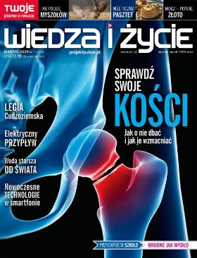 wydanie pulsar wiedza i życie