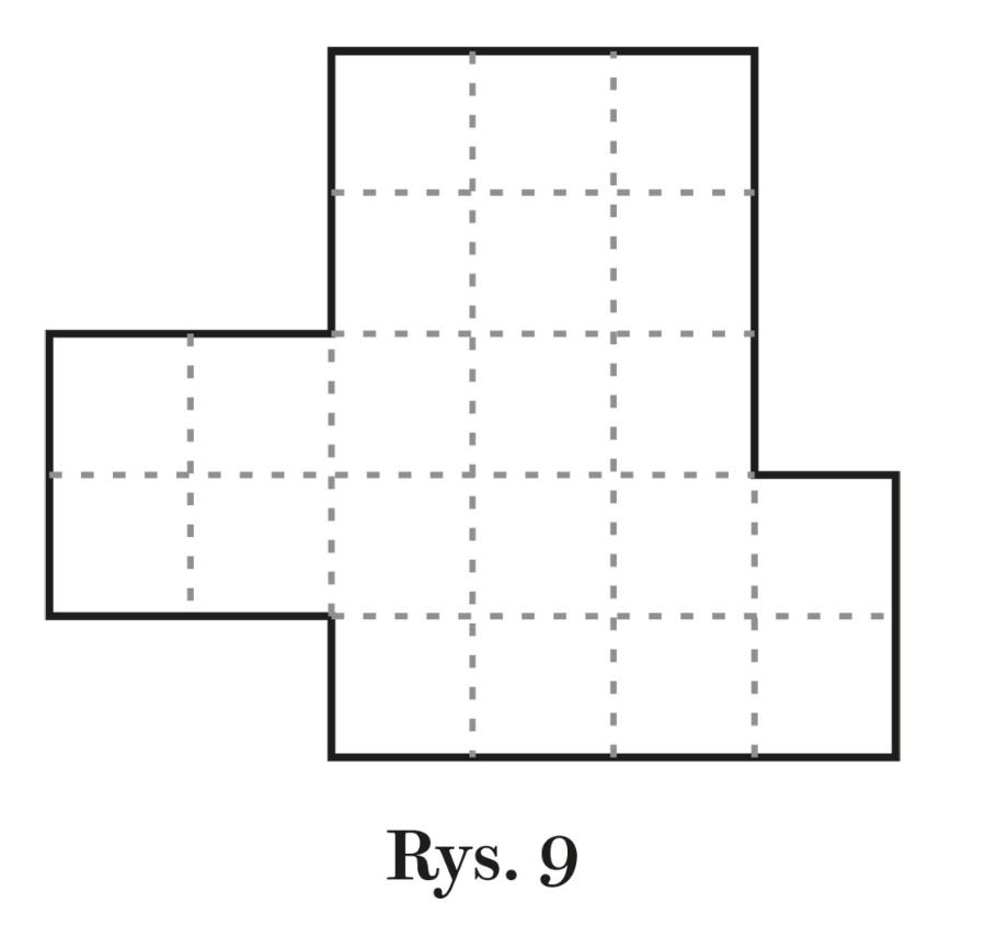 Rys. 9