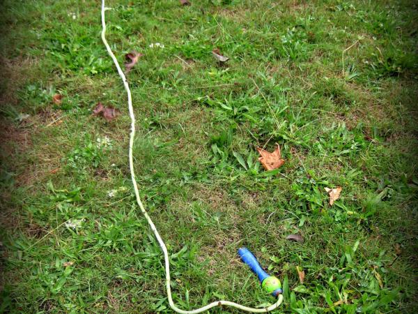 Któregoś dnia w sklepie, Radek obwiązał skakanką szyję i powiedział sprzedawczyni: tak się wiesza człowiek, proszę pani.