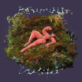 'Płyta Polofuturyzm'