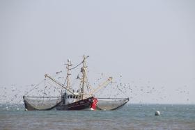 Człowiek nadmiernie eksploatuje nie tylko morza małe, jak Bałtyk. Dewastacji nie są w stanie oprzeć się nawet oceany.