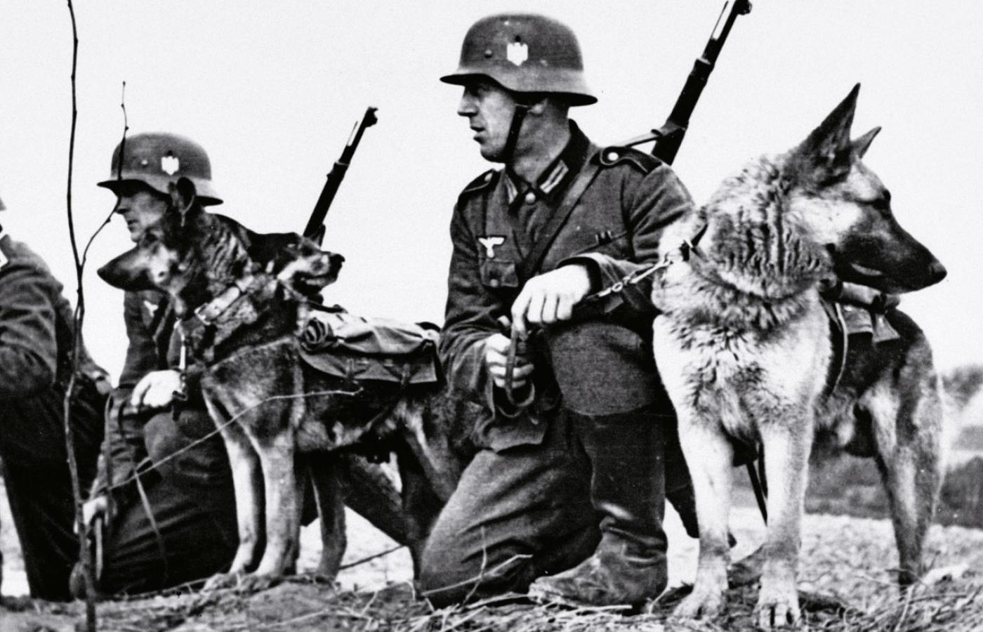 Niemieccy żołnierze ze swoimi psami podczas inwazji na Francję.