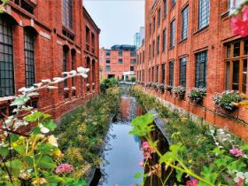 Rzeka Dobrzynka płynąca pomiędzy postindustrialnymi budynkami dawnej Fabryki Wełny Powelany.