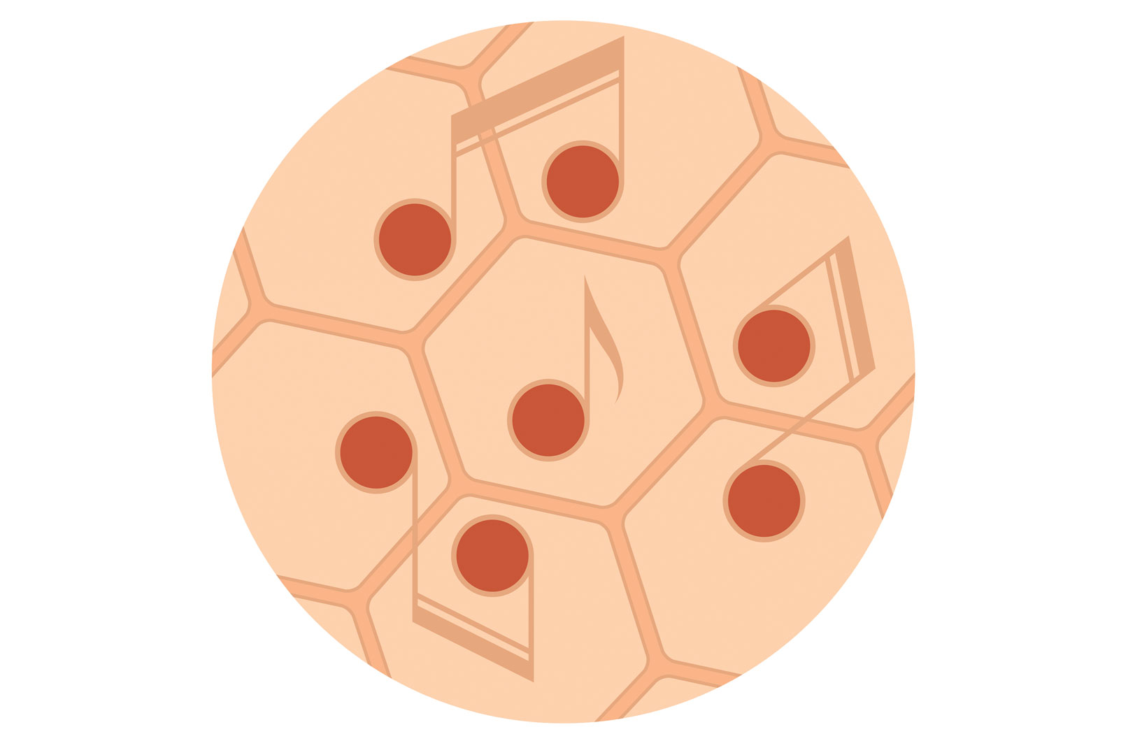 Odchudzanie muzyką?