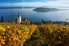 Kościół w Ligerz – wznosi się ponad wioską, pośród winnic. Przepiękny widok na jezioro Biel aż do Alp.