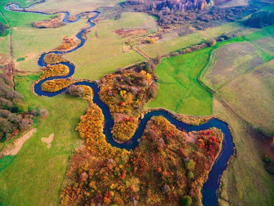 Meandry rzeki Gołdap w okolicy miejscowości Banie Mazurskie.