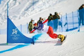 Aleksandra Król-Walas