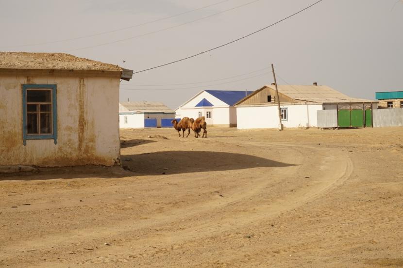Zhalanash; niegdyś wioska rybacka, położona nad Aralem, w której ryb było każdego dnia pod dostatkiem. Wraki statków z pobliskiej zatoki zostały już rozebrane na zlecenie chińskich firm odzyskujących metal.