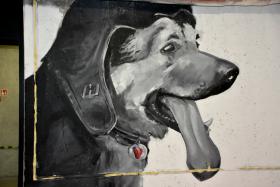 Szarik z serialu „Czterej pancerni i pies”