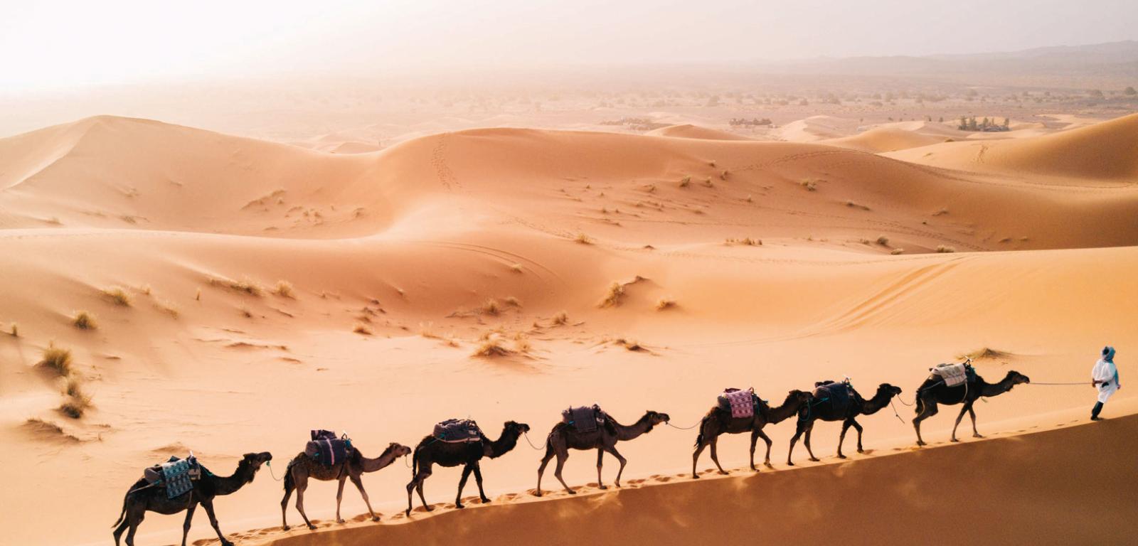 Trekking z wielbłądami na Saharze to duża atrakcja turystyczna w Maroku.