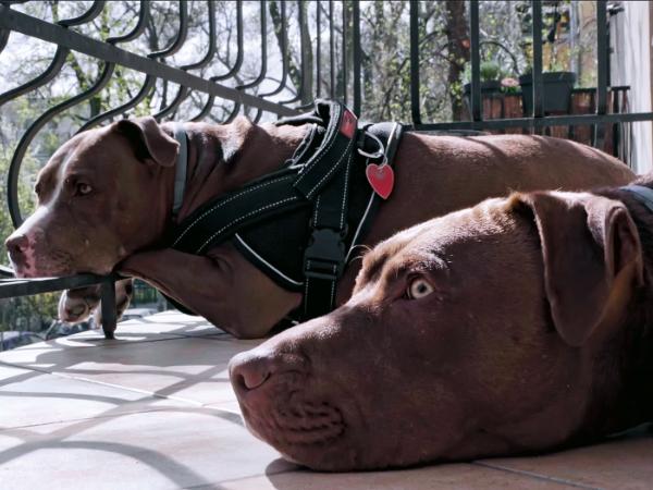 Kadr z filmu „W domu”.