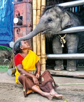 Bellie, opiekunka osieroconych słoniątek i jedna z bohaterek „Zaklinaczy słoni”.